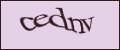 Include security image CAPCHA.