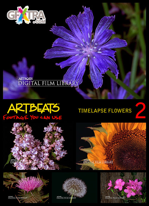 Timelapse Flowers 2 NTSC