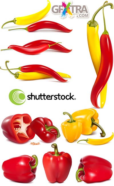 PhotoRealistic Pepper Vectors 4xEPS