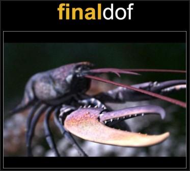 Cebas FINAL DOF V1.5 For 3DsMax 2011 (32/64Bit)