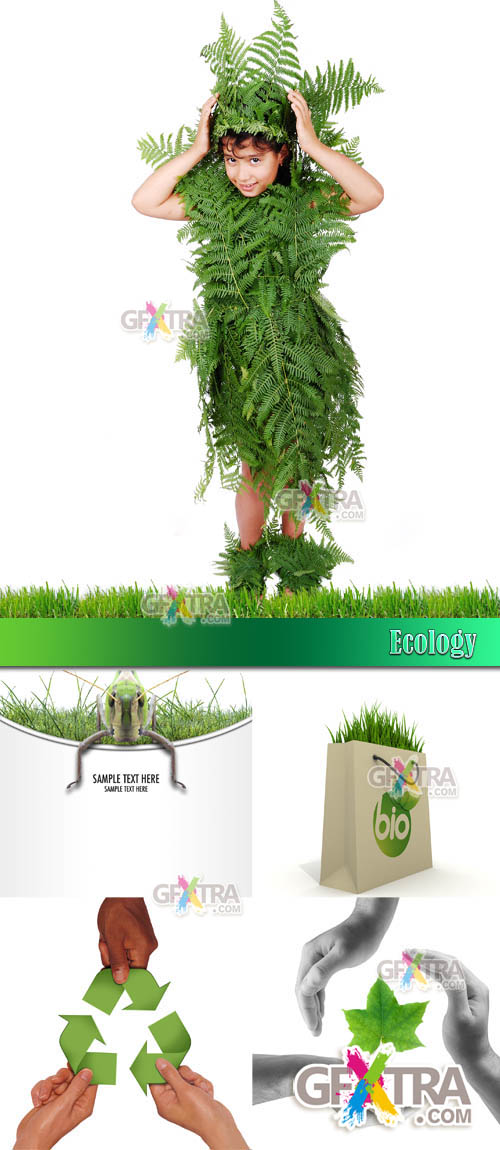 Ecology