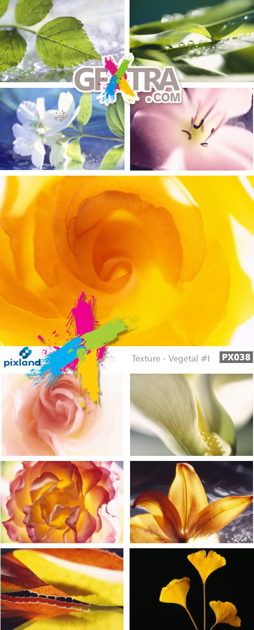 Pixland PX038 Texture - Vegetal #1