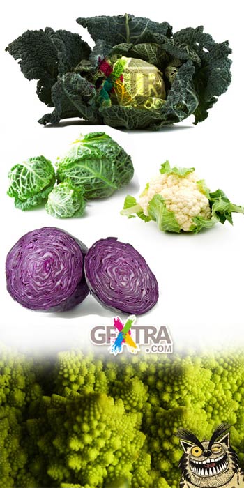 Cabbage 10xJPGs