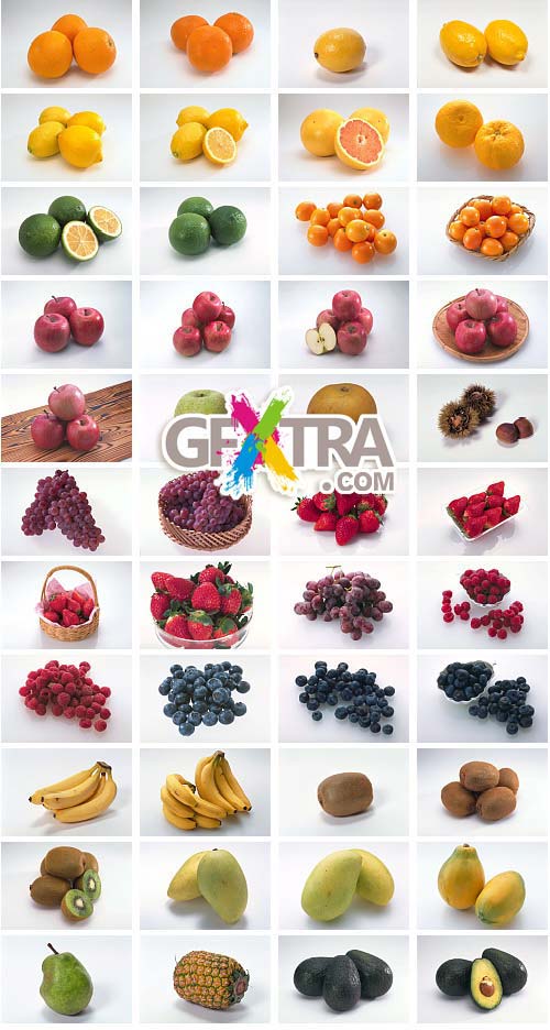 Sugoneta 027 Fresh Ingredients 8xCD 540xJPEG 1950xEPS
