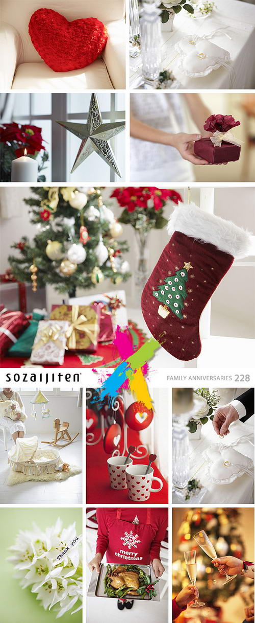 Datacraft Sozaijiten SZ228 Family Anniversaries