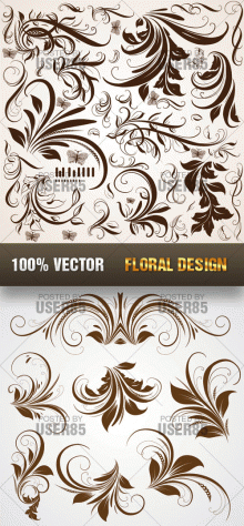 Stock Vector - Floral Design