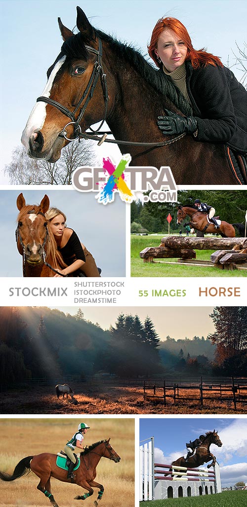 StockMIX - Horse 55xJPG