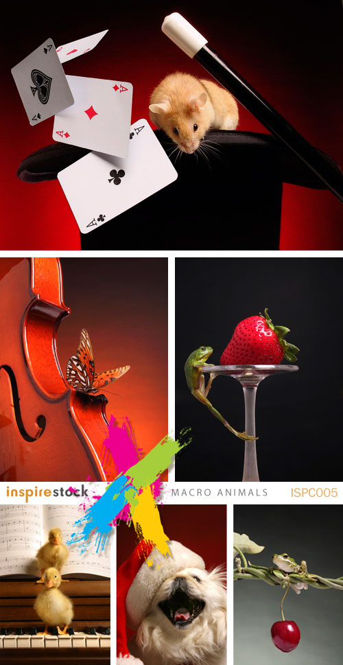 InspireStock ISPC005 Macro Animals