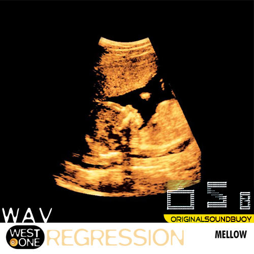 WOM  003 Regression[WAV]
