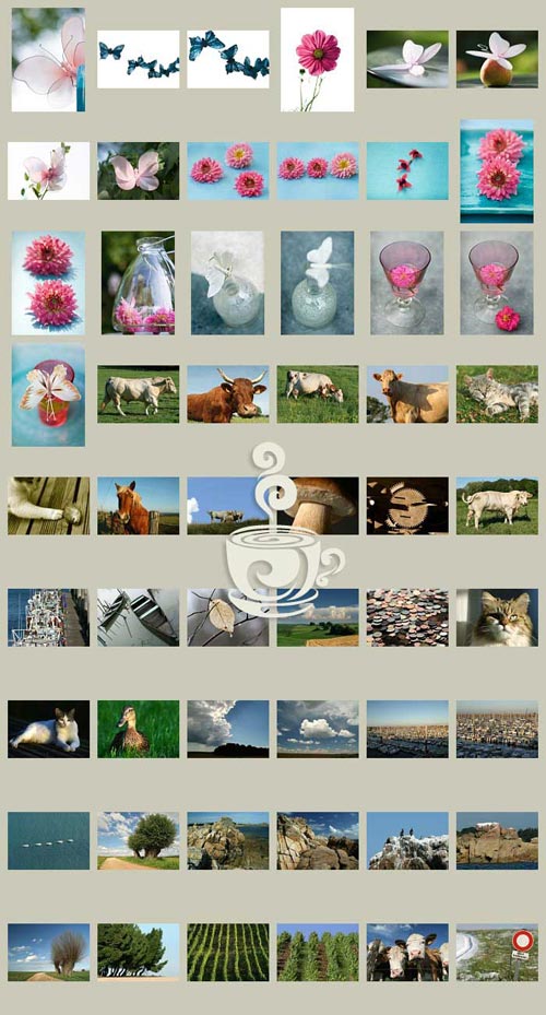 PhotoAlto DAA16 Single Images