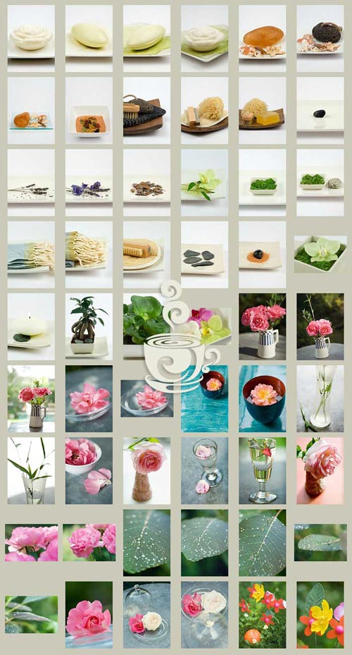 PhotoAlto DAA16 Single Images