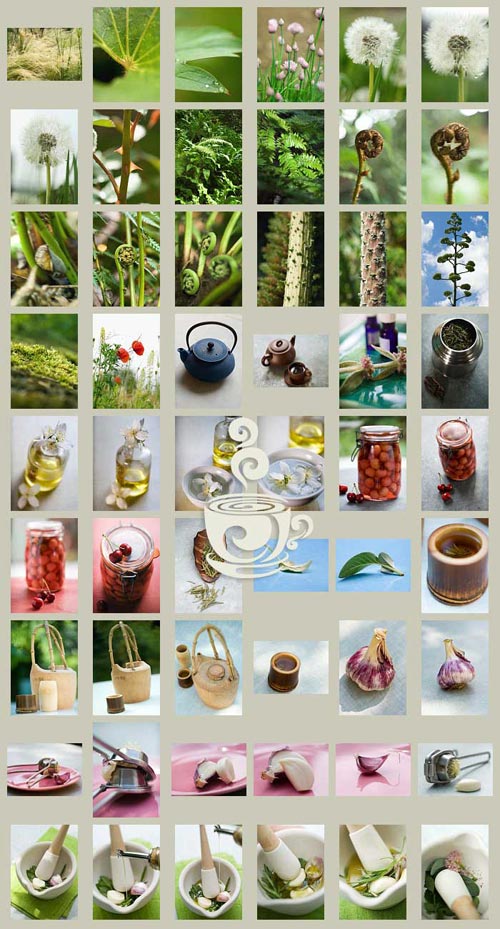 PhotoAlto DAA16 Single Images