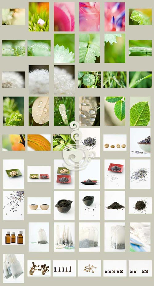 PhotoAlto DAA16 Single Images