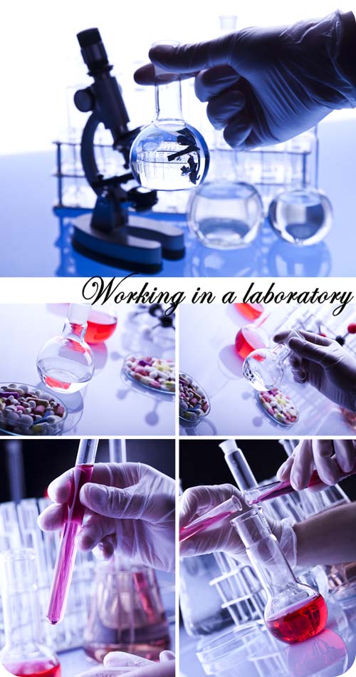 Stock Photo: Working in a laboratory