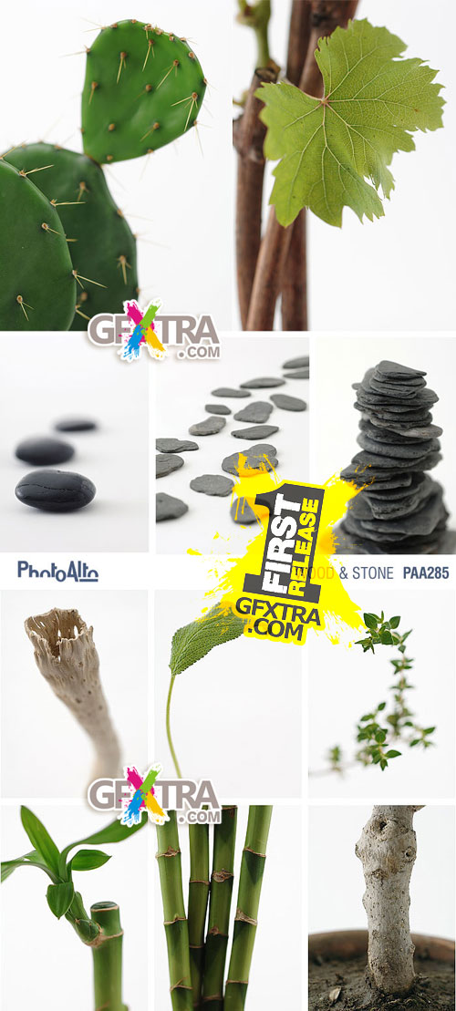 PhotoAlto PA285 Wood & Stone