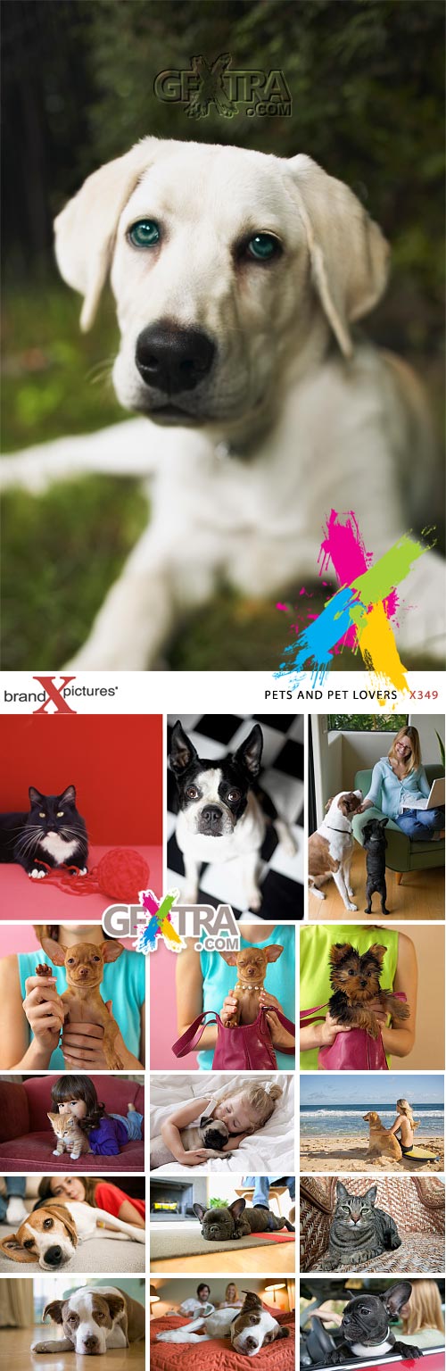 Brand-X X349 Pets and Pet Lovers