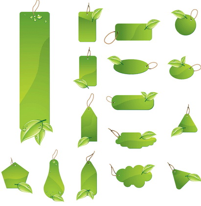Amazing SS - Green Leafs