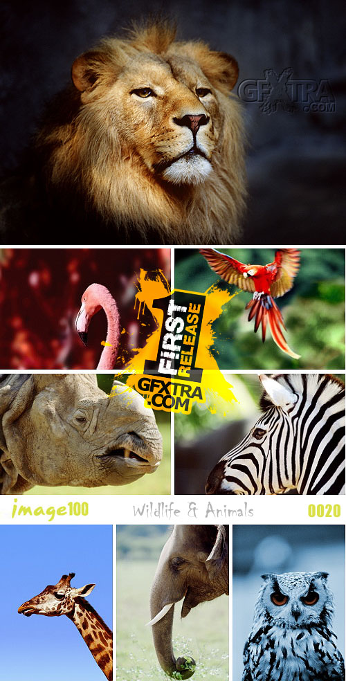 Image100 Vol.0020 Wildlife & Animals