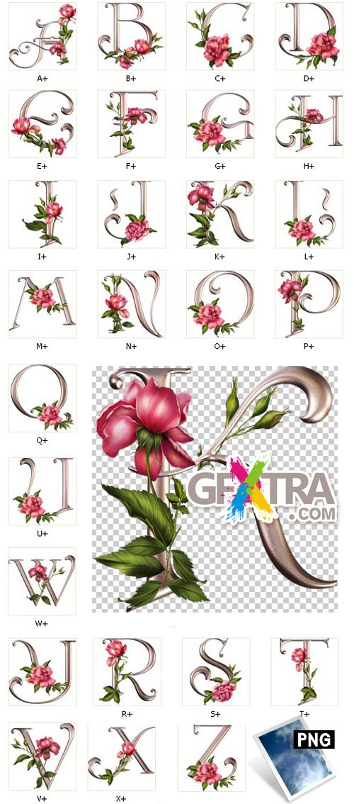 Rose Wedding - PNG Letters