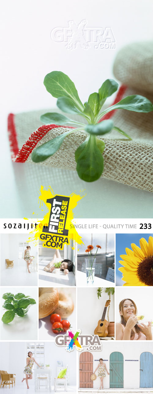Datacraft Sozaijiten Vol.233 Single Life - Quality Time