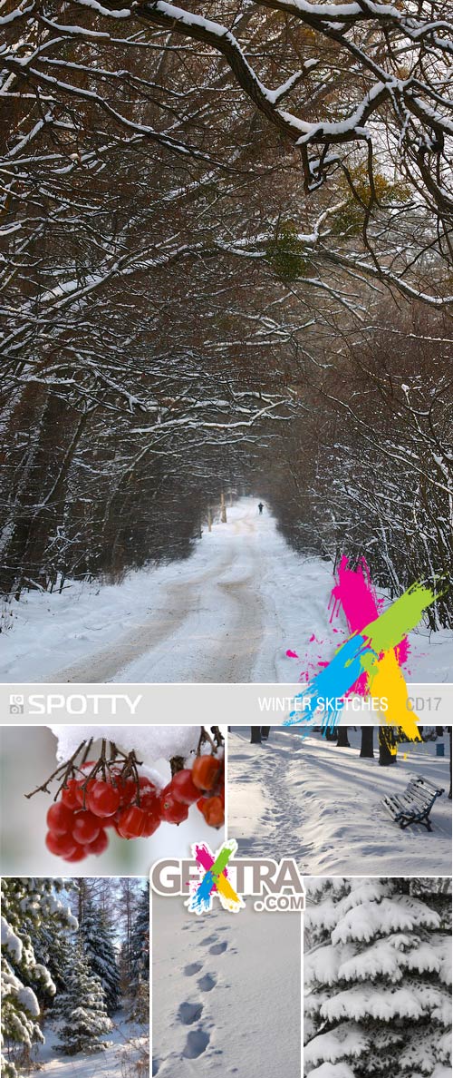 SPOTTY Standart CD17 Winter Sketches