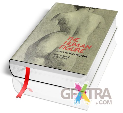 The Human Figure (Dover Anatomy for Artists)