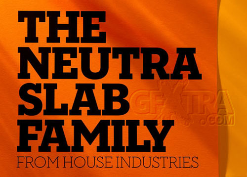 Neutraface Slab Font Family 14xOTFs