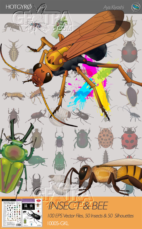 HOTGYRO - Insect & Bee 100xEPS