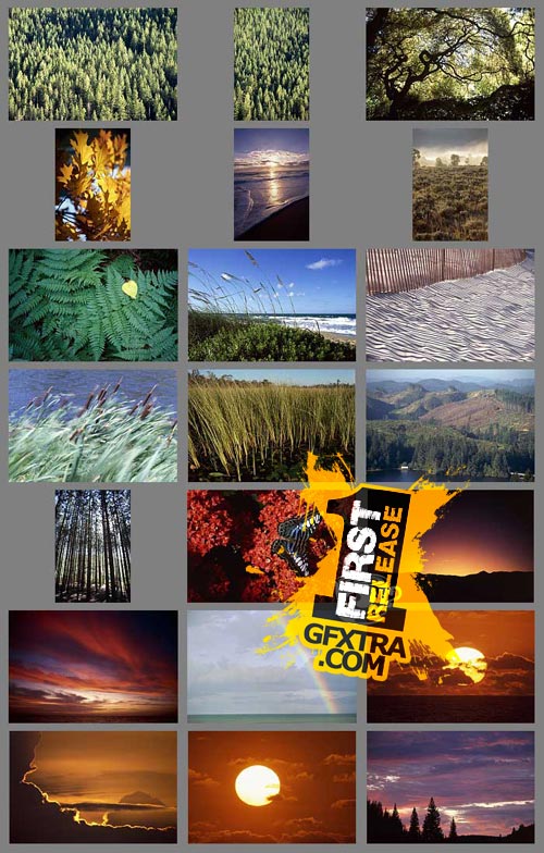 Creatas CRE259 Earth Watch
