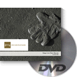 All Veer Fancy Collection! 125xDVDs