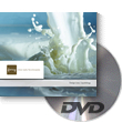 All Veer Fancy Collection! 125xDVDs