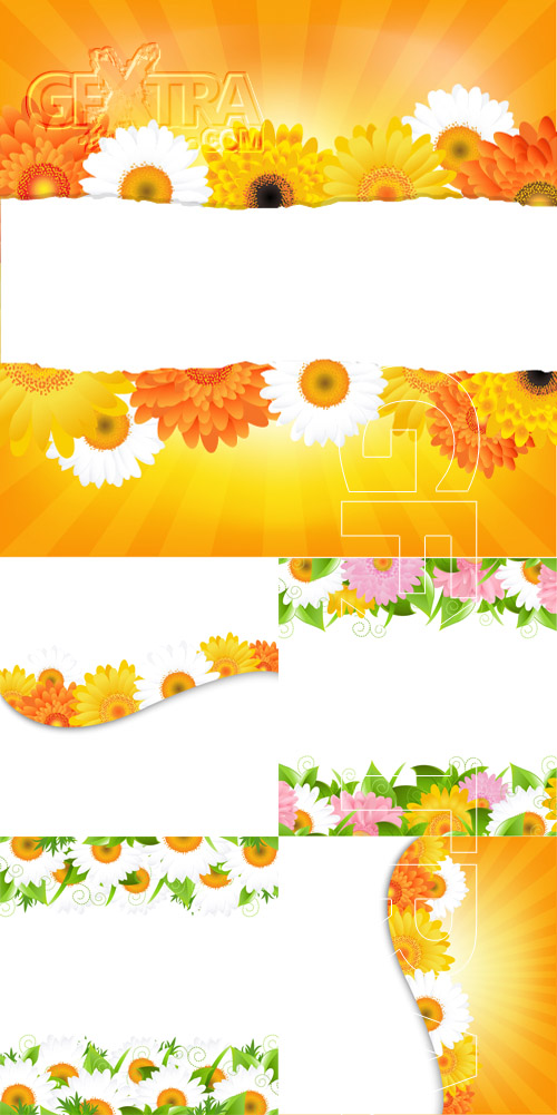 Floral borders and frames