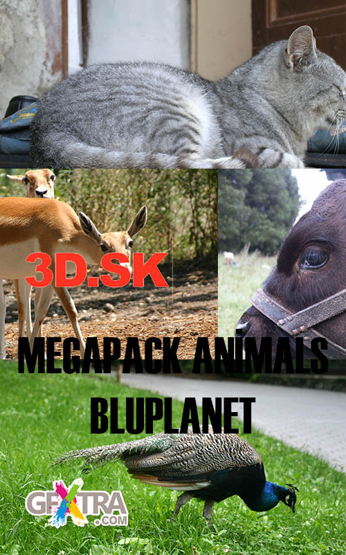 3d.sk - Megapack Animals 3d.sk - Megapack Animals
