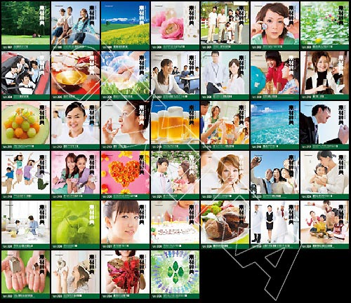Datacraft Sozaijiten - FULL Series, 234 Stock CD's