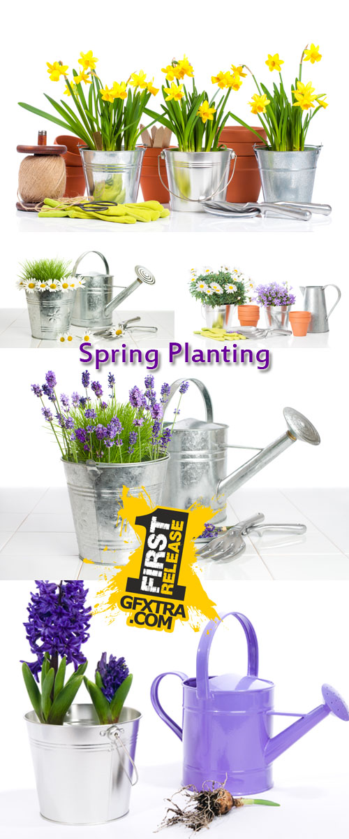 Stock Photo: Spring Planting