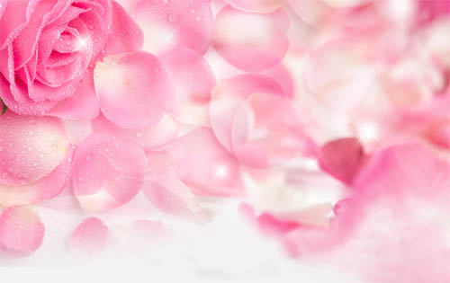 PSD - Rose Petals Template
