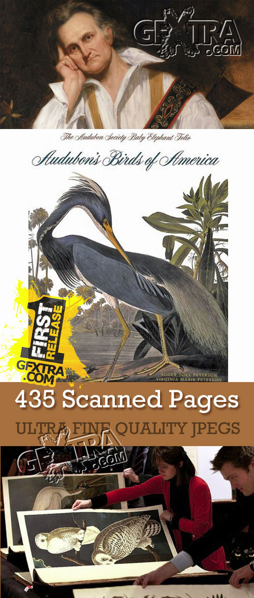 The Birds of America - John James Audubon, UHQ Scans