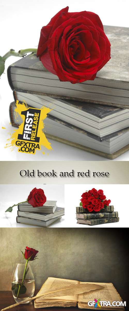 Stock Photo: Old book and red rose