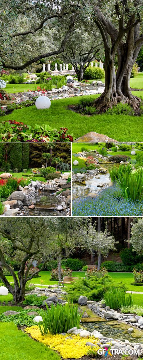 Stock Photo - Summer or Spring Garden