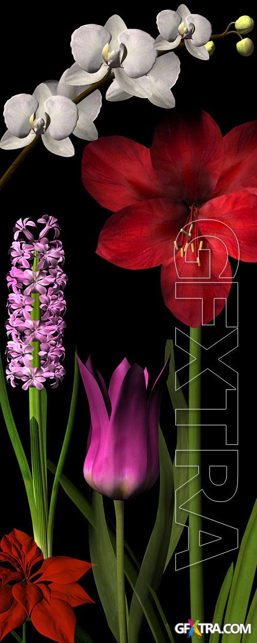 Botanica.3D - 77 Plant Models for 3DS Max