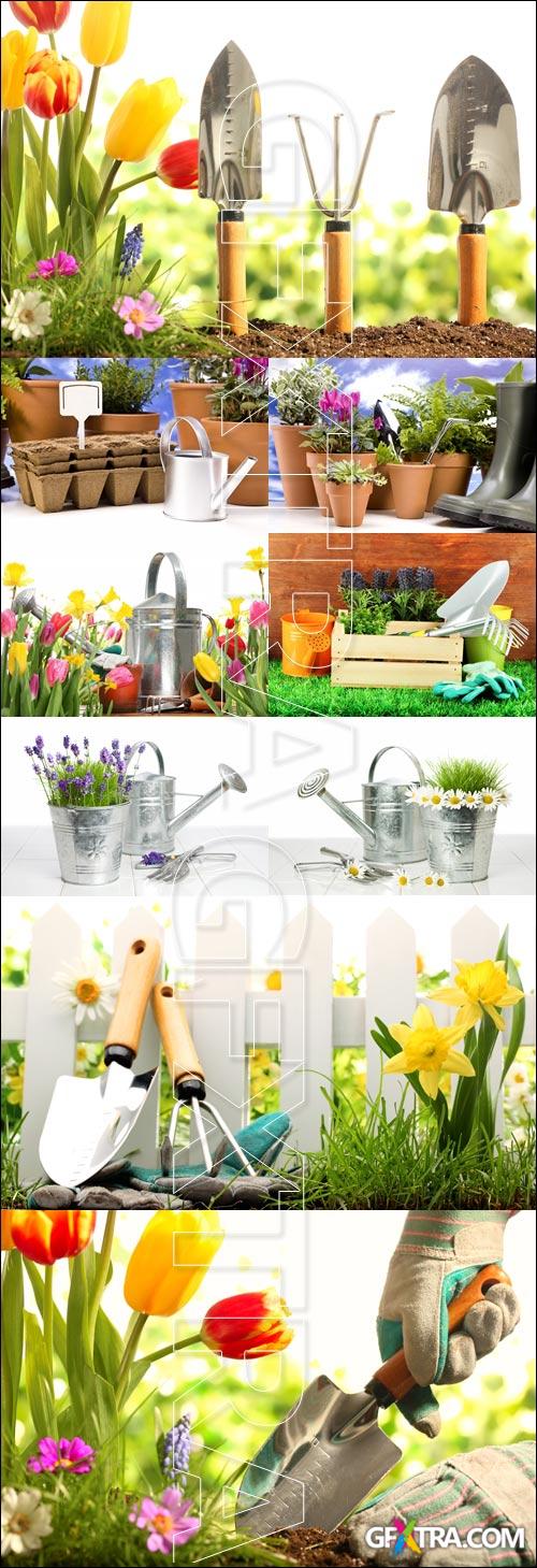 Gardening - Stock photo