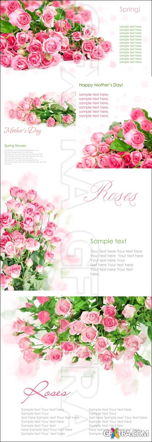 Roses background - Stock photo Roses background - Stock photo
