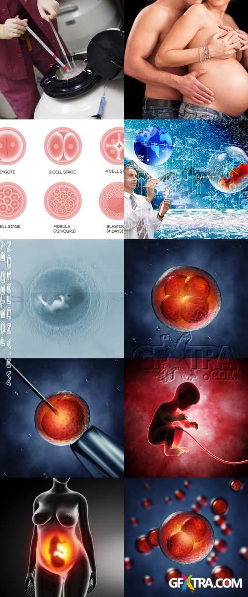 10 HQ Images Fertilisation#2