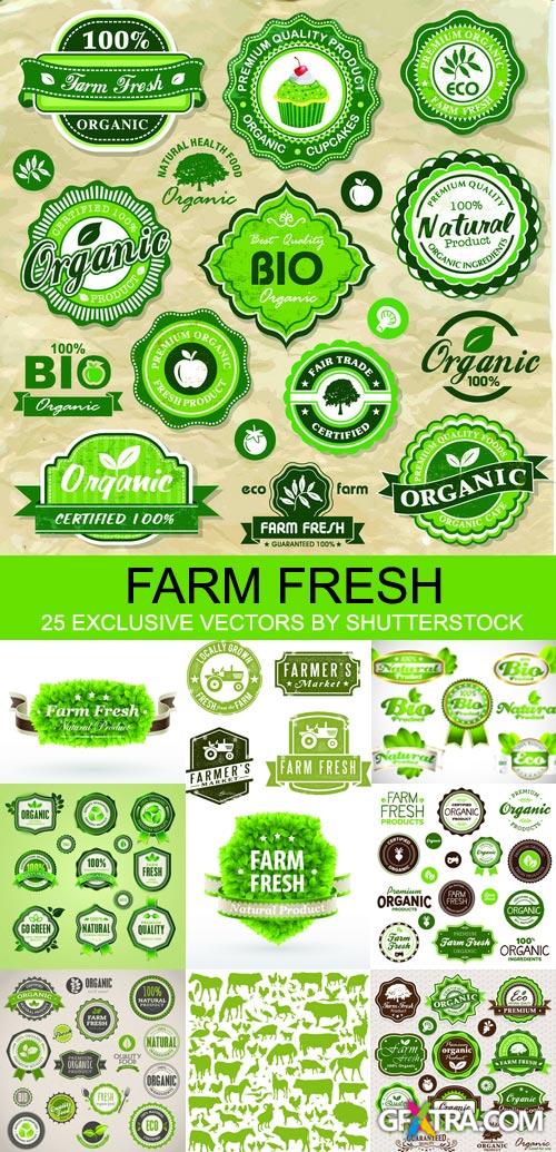 Amazing SS - Farm Fresh, 25xEPS, 1xJPG