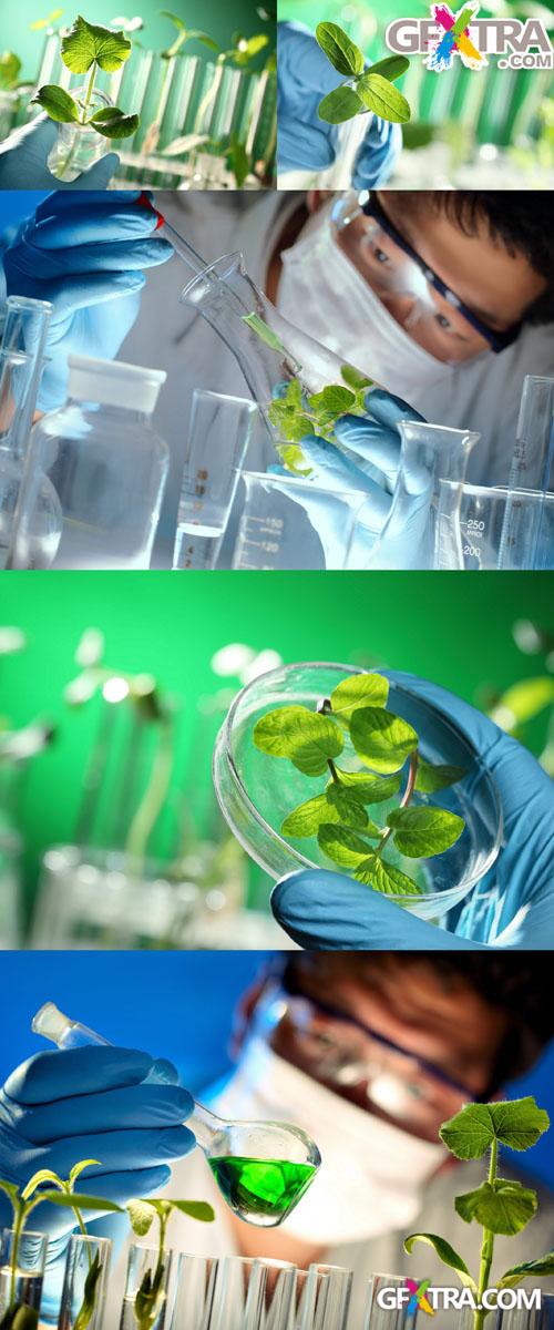 5 HQ Images Sample Of Plants