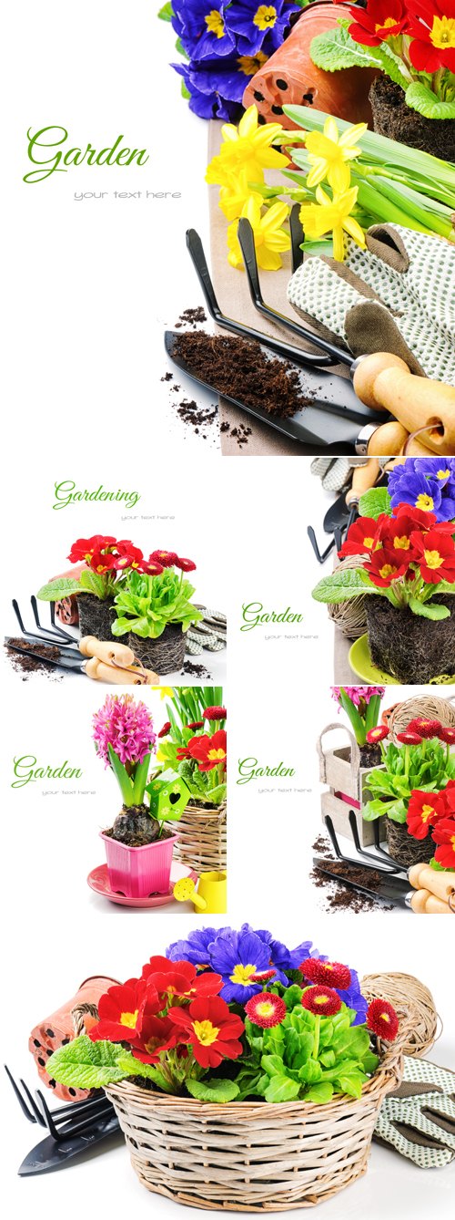 Stock Photo - Summer Gagdening Cards