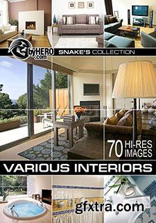Snake's Interors Collection