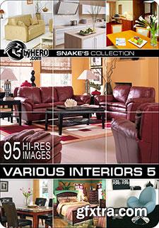 Snake's Interors Collection