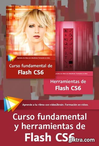 Curso fundamental y Herramientas de Flash CS6
