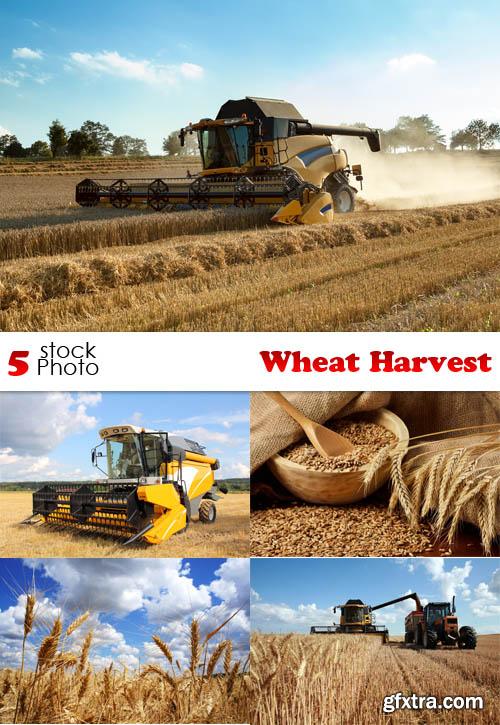 Photos - Wheat Harvest